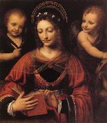 LUINI, Bernardino St.Catherine France oil painting artist